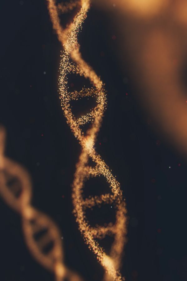 DNa Strands on a black background